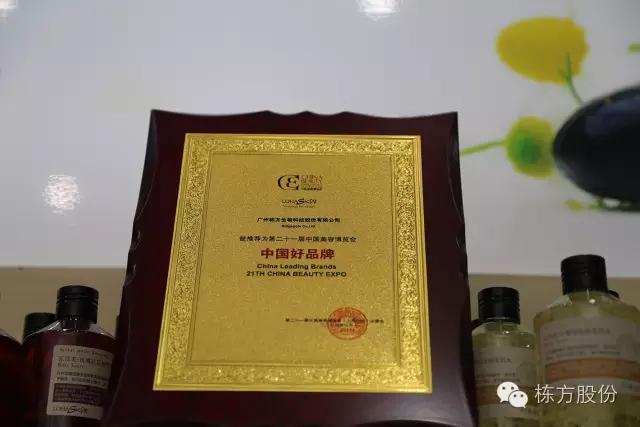 科技引領(lǐng)美麗▏棟方股份榮獲“中國好品牌獎”！