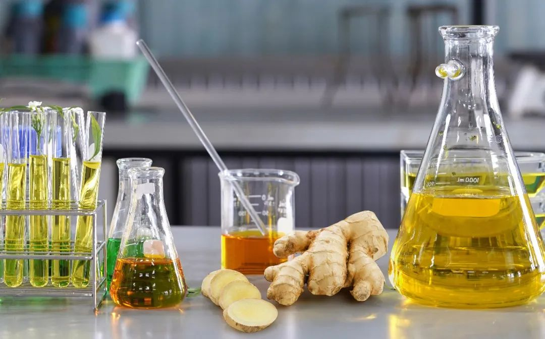 棟方股份榮獲2021年廣東省科技進步獎，科研創(chuàng)新實力再獲認可！