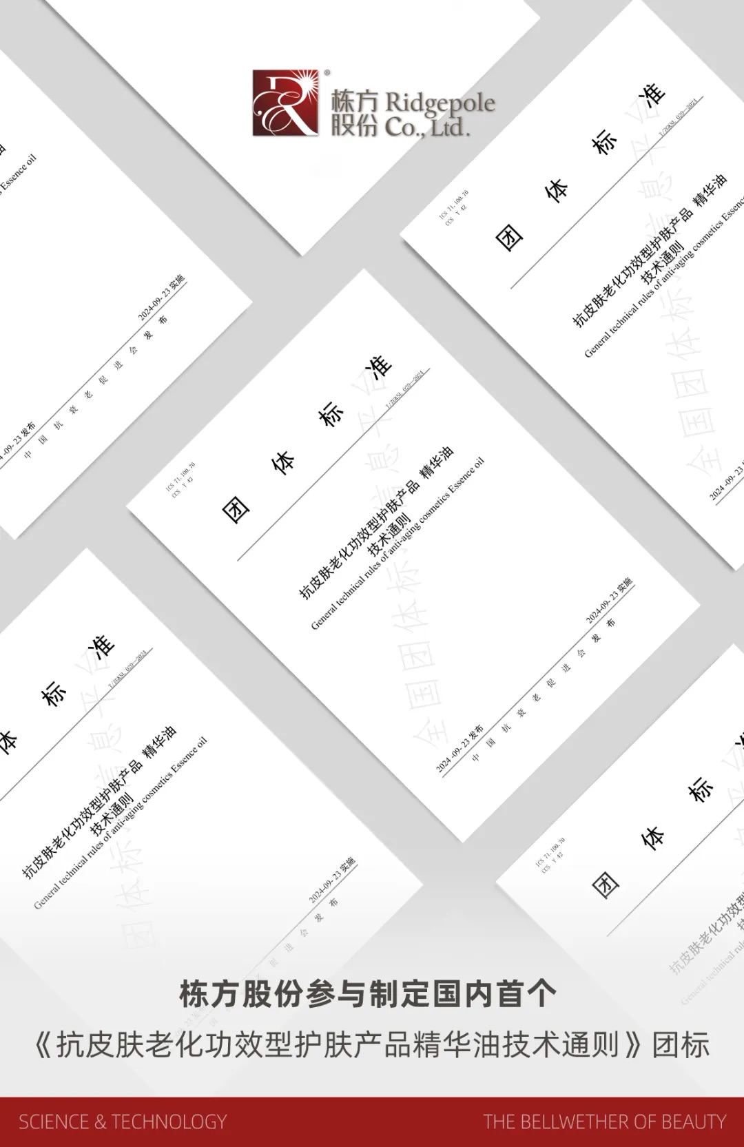 標(biāo)準(zhǔn)引領(lǐng)丨國內(nèi)首個《抗皮膚老化功效型護膚產(chǎn)品精華油技術(shù)通則》團體標(biāo)準(zhǔn)正式發(fā)布
